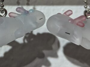 Dragon transparente