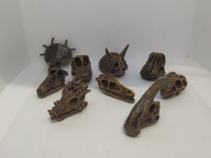 Fosil dinosaurios