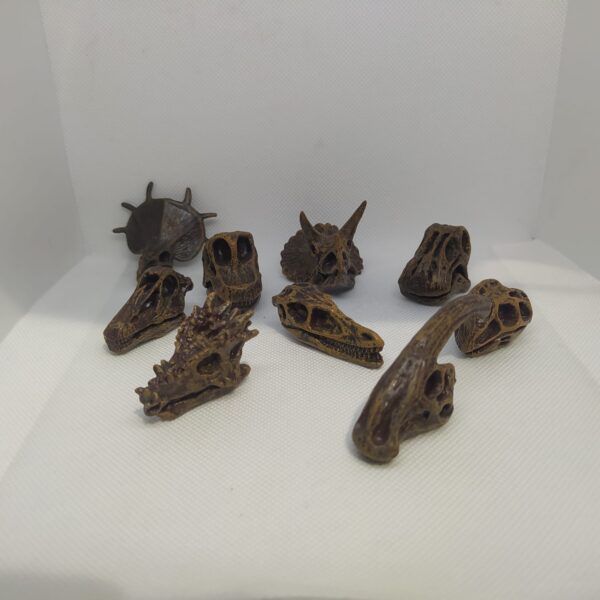 Fosil dinosaurios