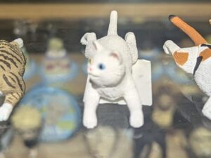 Gatos acostados