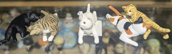 Gatos acostados
